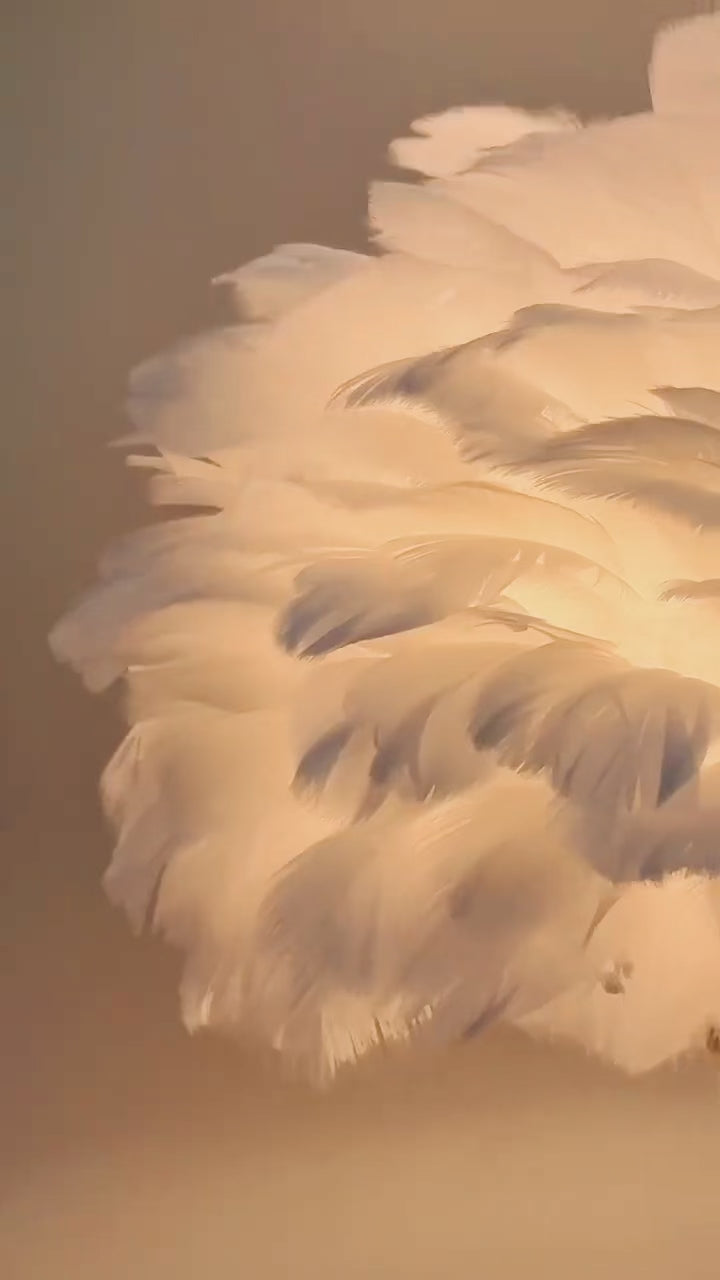 Feather Glow™ Luxury Table Lamp